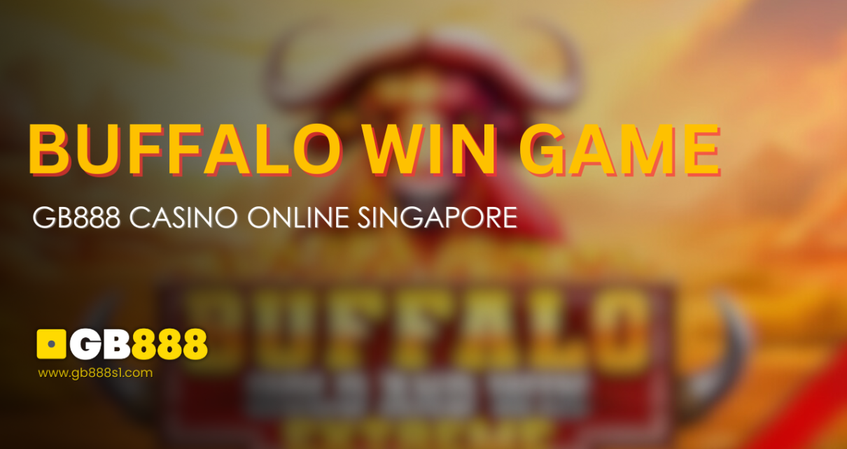 Buffalo Win Game at Gb888 Casino Online Singapore Win Big Today!